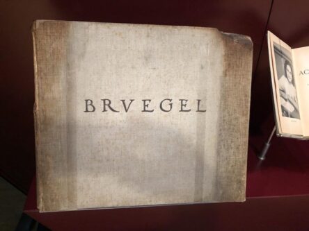 Book cover of Bruegel which, is one of the rare books saved from the National Library in Sarajevo, which did not turn into ash after the shelling of the City Hall building in 1992.